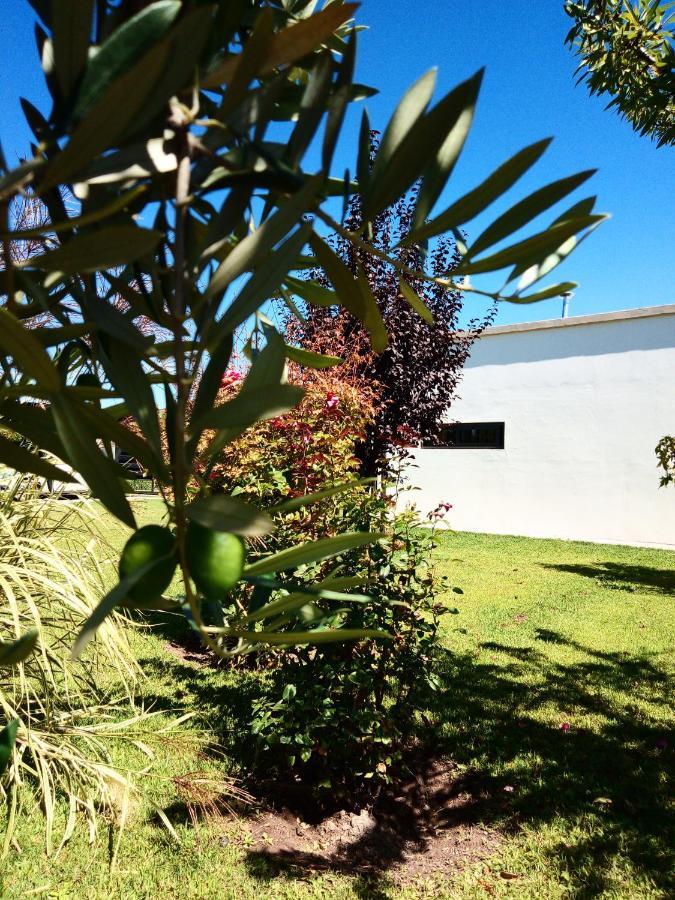 Lujan de Cuyo Loft Los Cerezos En Vistalba, Zona De Vinedos Y Bodegas מראה חיצוני תמונה